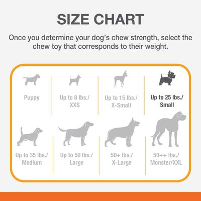 Show full view: Nylabone Power Chew Basted Blast Dual Flavored Dog Chew Toys, Small slide 5 of 13