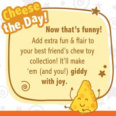 Show full view: Nylabone Power Chew Cheese Dog Toy, Large slide 7 of 13