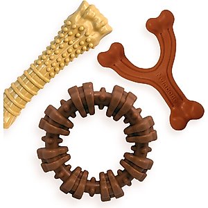 Nylabone Power Chew Customer Favorites Dog Chew Toy Bundle Customer Favorites Bundle Variety, Large 