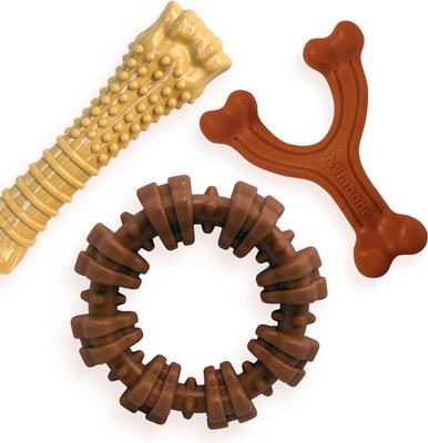 Show full view: Nylabone Power Chew Customer Favorites Dog Chew Toy Bundle Customer Favorites Bundle Variety, Large  slide 1 of 12