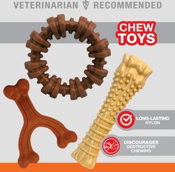 Nylabone Power Chew Customer Favorites Dog Chew Toy Bundle Customer Favorites Bundle Variety, Large  slide 2 of 9