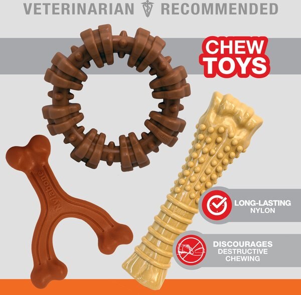 Nylabone Power Chew Customer Favorites Dog Chew Toy Bundle Customer Favorites Bundle Variety
