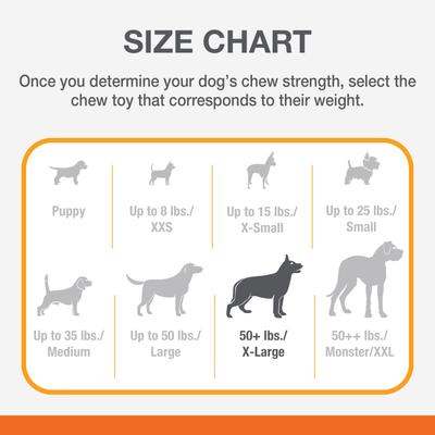 Show full view: Nylabone Power Chew Customer Favorites Dog Chew Toy Bundle Customer Favorites Bundle Variety, Large  slide 5 of 12