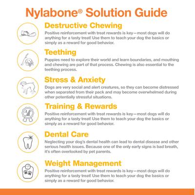 Show full view: Nylabone Power Chew Customer Favorites Dog Chew Toy Bundle Customer Favorites Bundle Variety, Large  slide 9 of 12