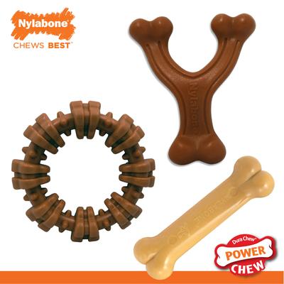Show full view: Nylabone Power Chew Customer Favorites Dog Chew Toys Bundle, Brown, Small slide 3 of 10