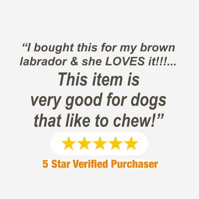 Show full view: Nylabone Power Chew Customer Favorites Dog Chew Toys Bundle, Brown, Small slide 9 of 10