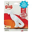 Nylabone Power Chew Dental Chew Chicken Flavored Dinosaur Dog Chew Toy, Character Varies, Small