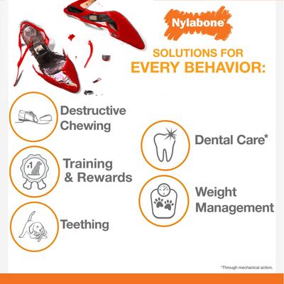 Show full view: Nylabone Power Chew Durable Dog Chew Toys Twin Pack Beef Jerky & Chicken, Large slide 9 of 12