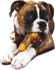 Nylabone Power Chew Flavor Frenzy Cheesesteak Flavored Dog Chew Toy, X-Large slide 2 of 9