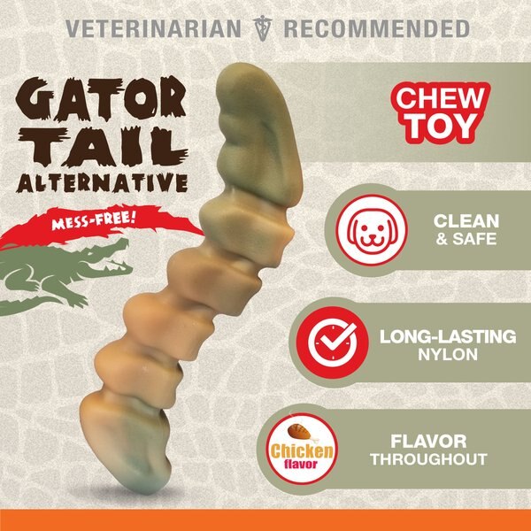 Nylabone Power Chew Gator Tail Alternative Chicken Flavor Dog Chew Toy, Large