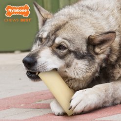 Nylabone Power Chew Giant Marrow Dog Bone Alternative, Beef Flavor, Large slide 2 of 9