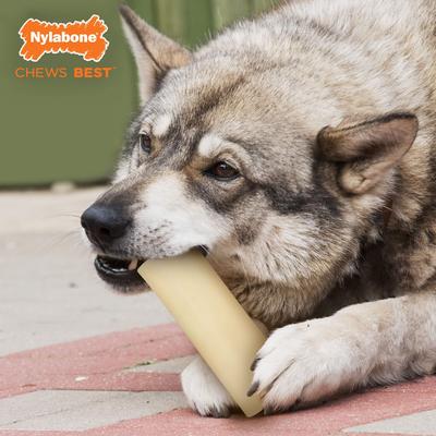 Show full view: Nylabone Power Chew Giant Marrow Dog Bone Alternative, Beef Flavor, Large slide 2 of 13