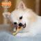 Show in main carousel: Nylabone Power Chew Knuckle Bone & Pop-In Treat Dog Toy Combo Knuckle Bone Pop-In Treat Toy Chicken Pop-In, X-Small  slide 3 of 12