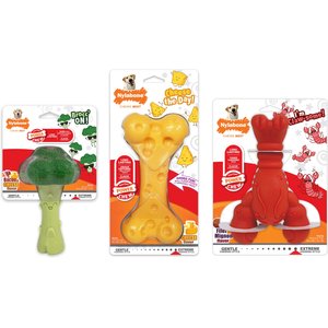 Nylabone Power Chew Lobster, Cheese, & Broccoli Dog Chew Toy Bundle, Large