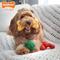 Show in main carousel: Nylabone Power Chew Lobster, Cheese, & Broccoli Dog Chew Toy Bundle, Large slide 4 of 12