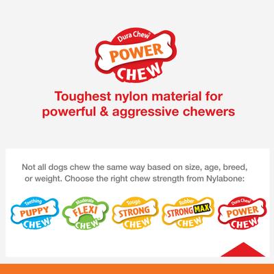 Show full view: Nylabone Power Chew Lobster, Cheese, & Pretzel Dog Chew Toy Bundle, Small slide 4 of 10