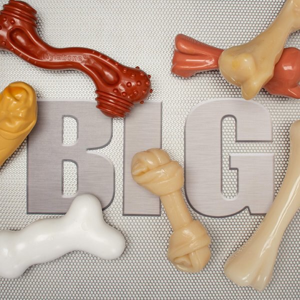 Nylabone Power Chew Mega Knot Bone Big Dog Chew Toy