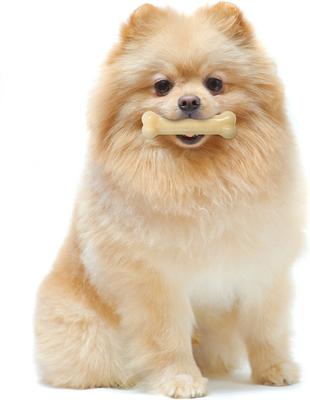 Show full view: Nylabone Power Chew Original Flavored Dog Chew Toy, X-Small, 2 count slide 4 of 13