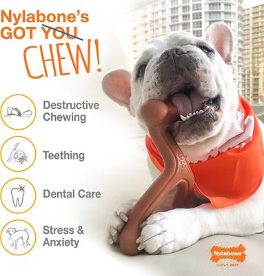 Show full view: Nylabone Power Chew Original Flavored Dog Chew Toy, X-Small, 2 count slide 5 of 13