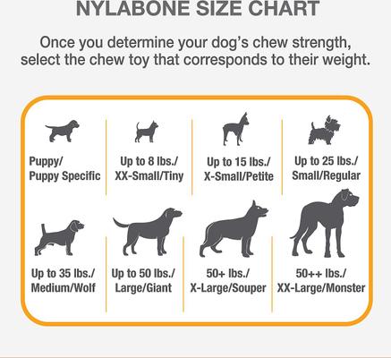 Show full view: Nylabone Power Chew Original Flavored Dog Chew Toy, X-Small, 2 count slide 7 of 13