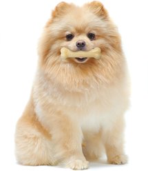 Nylabone Power Chew Original Flavored Dog Chew Toy, X-Small slide 2 of 9