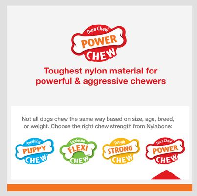 Show full view: Nylabone Power Chew Pretzel Dog Toy Bacon & Peanut Butter, Small  slide 6 of 12