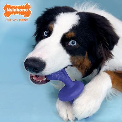 Show full view: Nylabone Power Chew Rolling Dog Toy, Blue, Large slide 3 of 10
