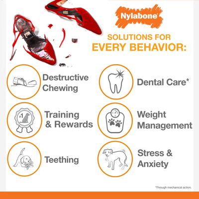 Show full view: Nylabone Power Chew Rolling Dog Toy, Blue, Large slide 6 of 10