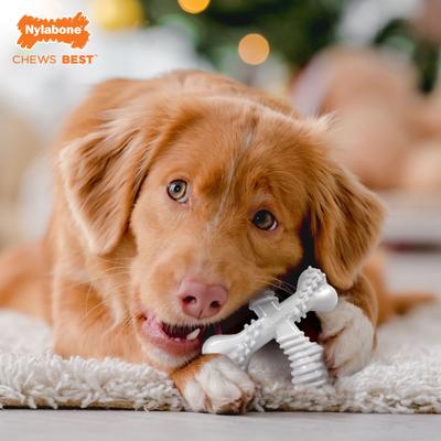 Show full view: Nylabone Christmas Power Chew Vanilla Cookie Holiday X Dog Bone Chew Toy, Large slide 2 of 11