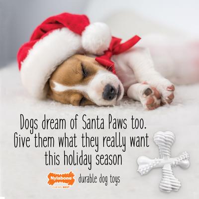 Show full view: Nylabone Christmas Power Chew Vanilla Cookie Holiday X Dog Bone Chew Toy, Large slide 4 of 11