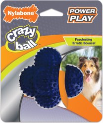 Nylabone Power Play Crazy Ball Dog Toy, Large