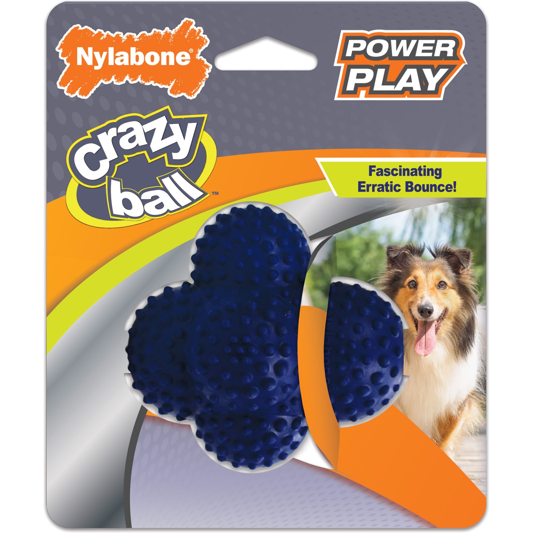 Nylabone Power Play Crazy Ball Dog Toy, Large