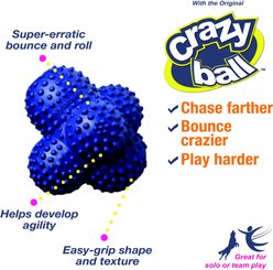 Nylabone Power Play Crazy Ball Dog Toy, Large slide 2 of 9