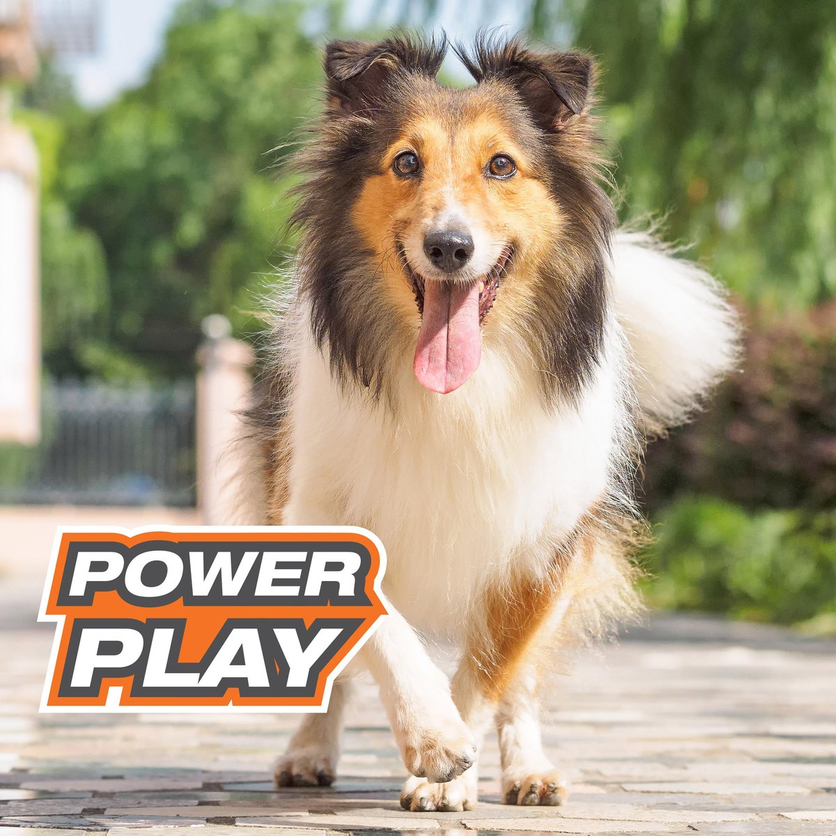 Nylabone Power Play Crazy Stick Dog Toy, Orange