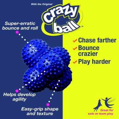 Show full view: Nylabone Power Play Crazy Ball Dog Toy, Large slide 9 of 11