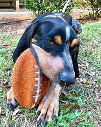 Nylabone Power Play Football Gripz Dog Toy, Large slide 2 of 9