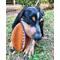 Show in main carousel: Nylabone Power Play Football Gripz Dog Toy, Large slide 2 of 11