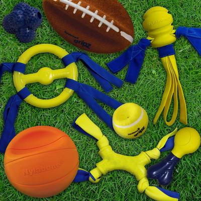 Show full view: Nylabone Power Play Football Gripz Dog Toy, Large slide 9 of 11