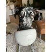 Show in main carousel: Nylabone Power Play Gripz Soccer Ball Dog Toy, Medium slide 2 of 11