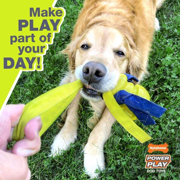 Show full view: Nylabone Power Play Gripz Soccer Ball Dog Toy, Medium slide 5 of 11