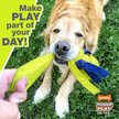 Show in main carousel: Nylabone Power Play Gripz Soccer Ball Dog Toy, Medium slide 5 of 11