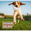 Show in main carousel: Nylabone Power Play Gripz Soccer Ball Dog Toy, Medium slide 9 of 11