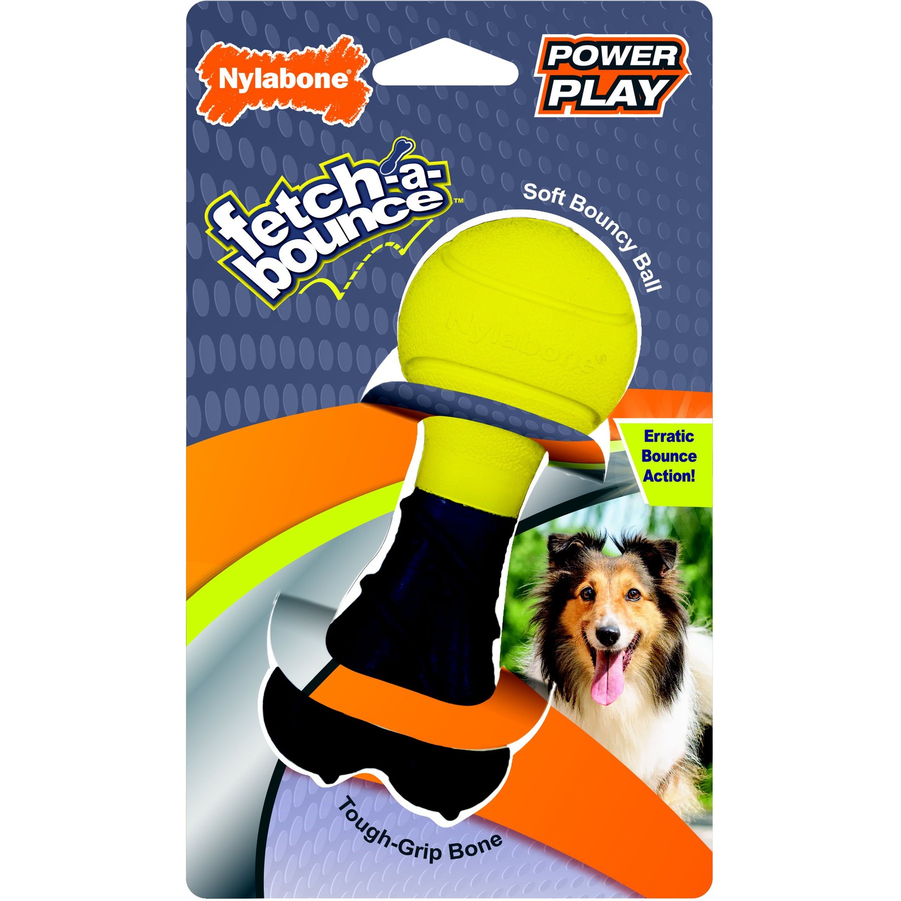 Nylabone Power Play Rubber Fetch-a-Bounce Dog Toy, Small