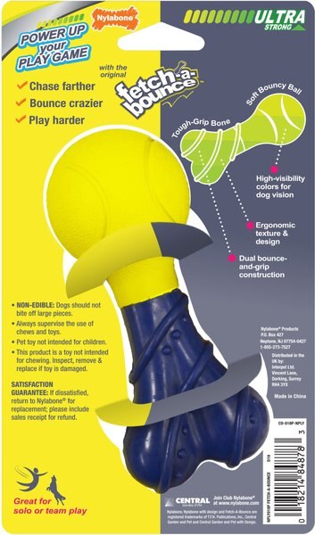 Nylabone Power Play Rubber Fetch-a-Bounce Dog Toy