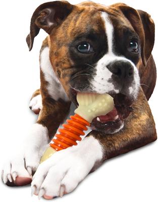 Show full view: Nylabone PRO Action Dental Power Chew Durable Dog Toy Bacon, Large  slide 8 of 13