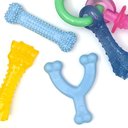 Nylabone Puppy Chew Chicken & Bacon Dog Chew Toys Bundle, X-Small, Blue