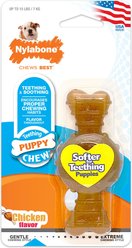 Nylabone Puppy Chew Ring Chicken Flavored Puppy Chew Toy, X-Small