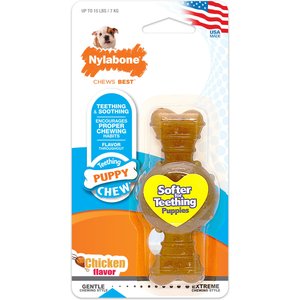 Nylabone Puppy Chew Ring Chicken Flavored Puppy Chew Toy, X-Small