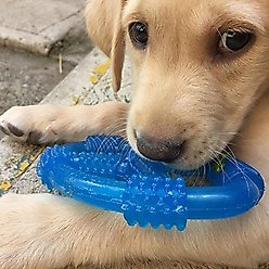 Nylabone Puppy Chew Spin Tug & Play Toy Peanut Butter Blue, Medium slide 2 of 9