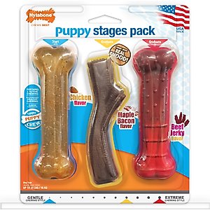 Nylabone Puppy Chew Stages Triple Pack Chewy Toys Puppy Stages Triple Pack, Medium, 3 count